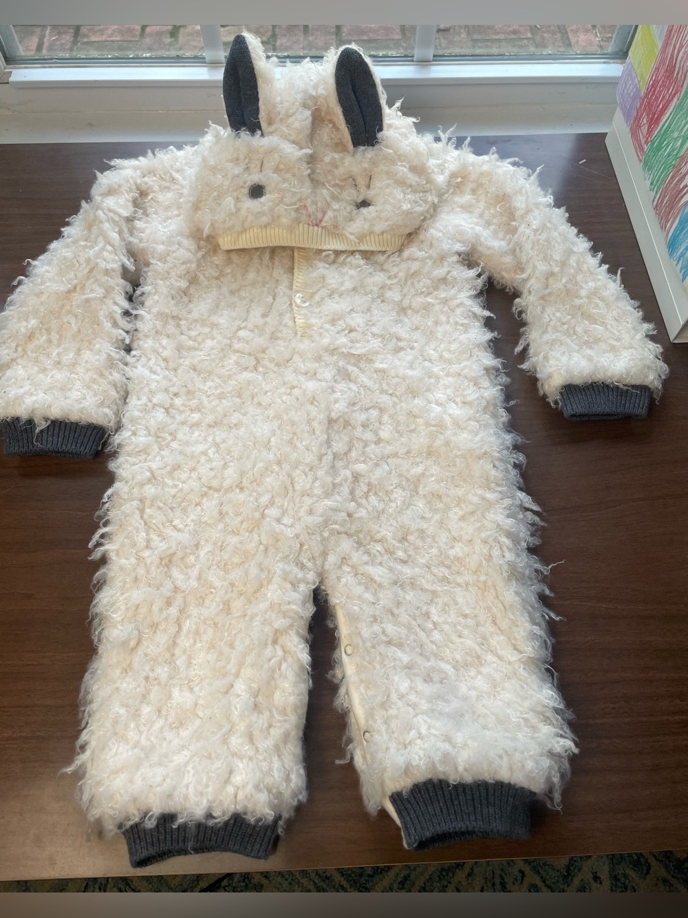 Pottery Barn Kids Lamb Costume